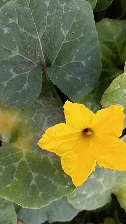 ������ ����, ������ ���������� ������!