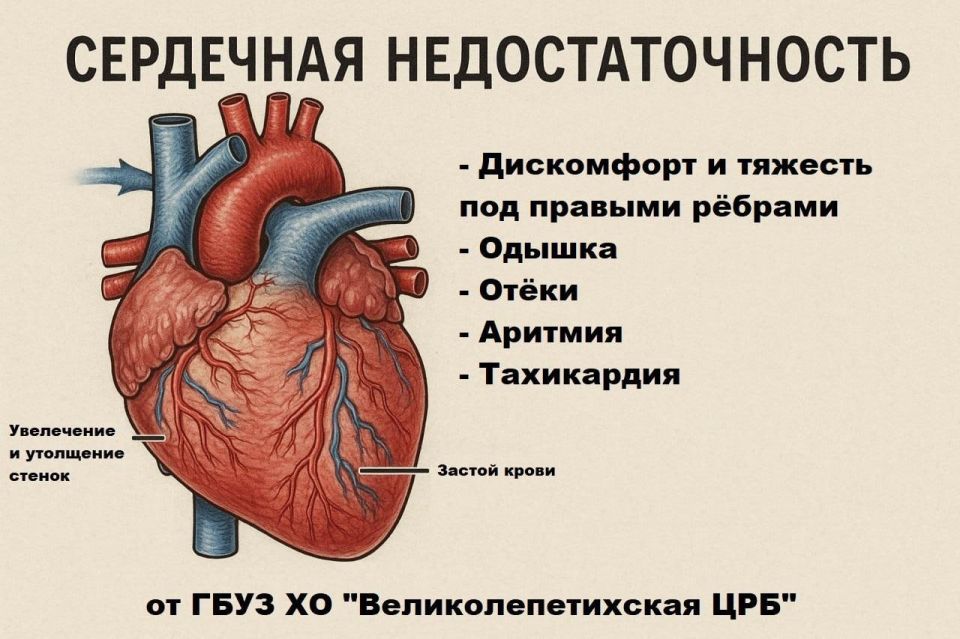 ��������� ���������������: ��� �������� ������ � ���� �� ������������������ ����