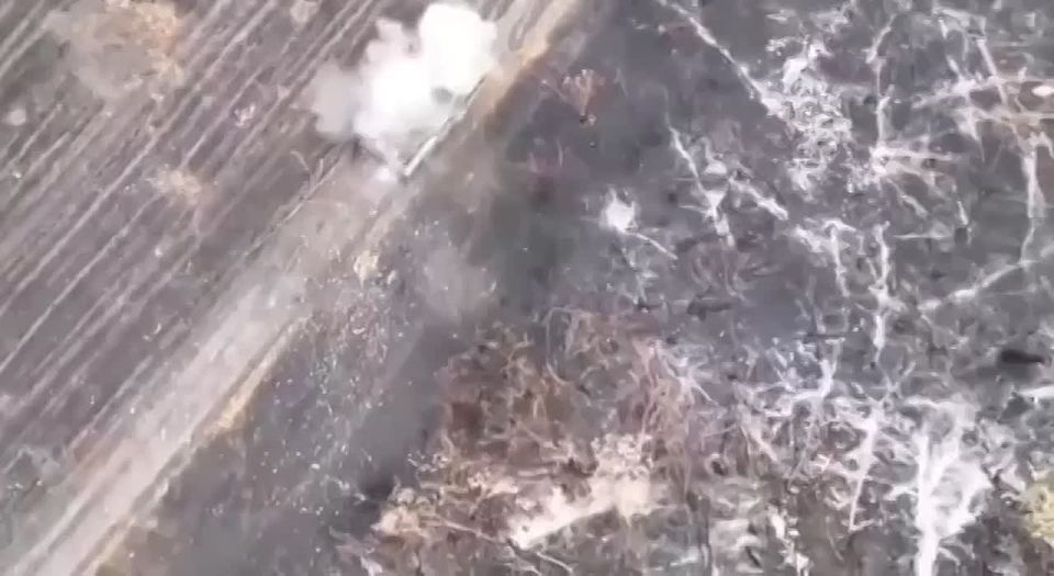 Енот из Херсона: Трехочковый от Русского дроновода