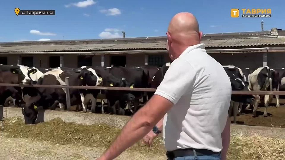 �������� ������: � ���������� ������� �� ����� �� ��������� ��������� ������� � ����������� ������������