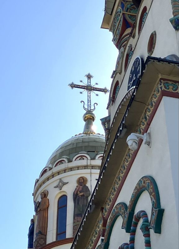  :       ,    1037  䠠      ()   