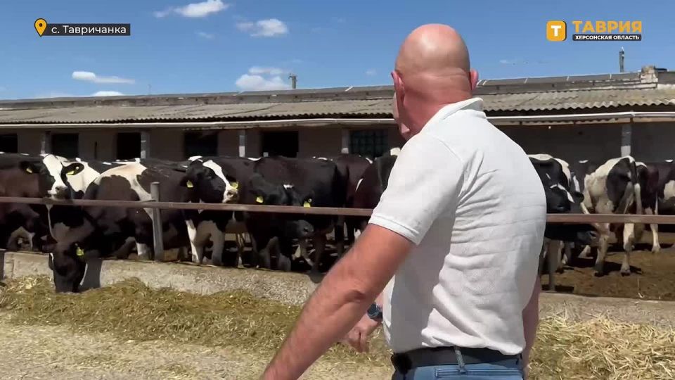 ����������� "�����������" ������� ��������� ��� ���������� ������������, ������ �������� ������