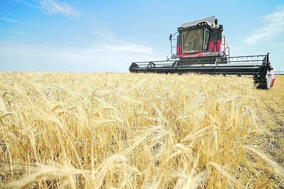 ����� ���� ��������� ���������: ��� � ���������� ������� ������������ �������� � �������