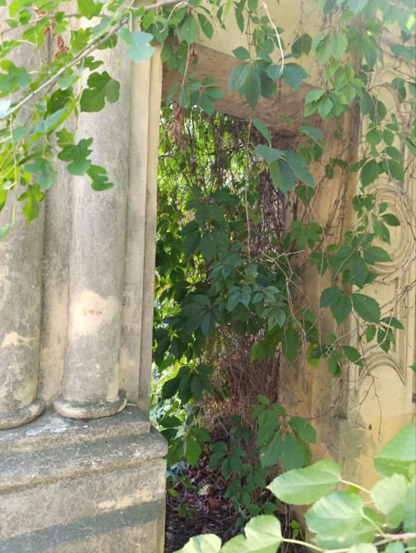 ������ ����, ������ ���������� ������!