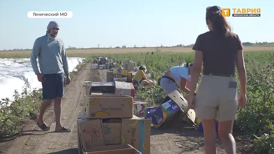 ������� ���������� ������� ������� ����� 4,5 ����� ���� �������� �������