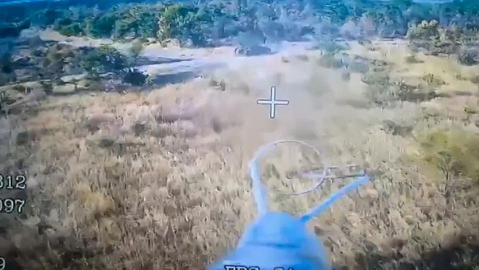 ���� �� �������: ������ ��� ��������� ���� ���������