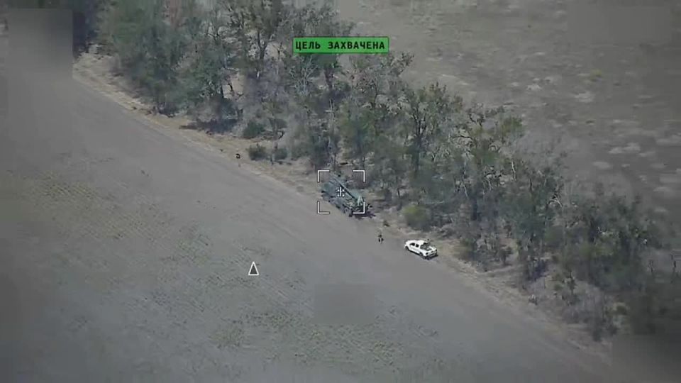 &quot;&quot;  .      49     &quot;&quot;   