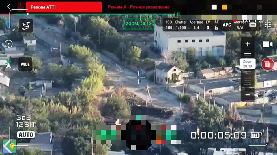 ������. ������� ����