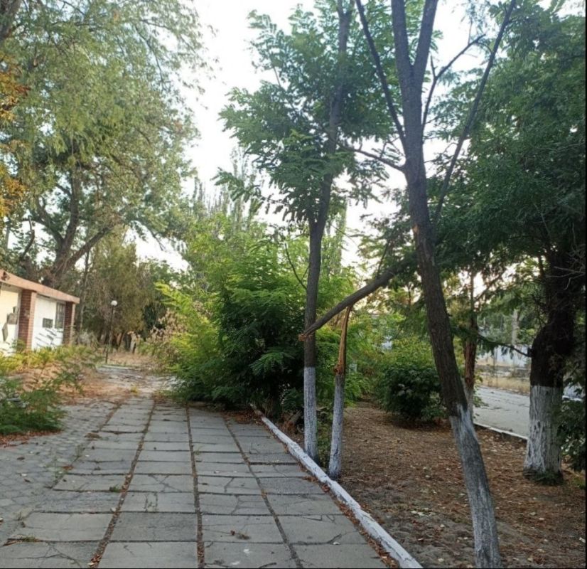 ������� ���������: ���������� ����������� ��������� � ����������� ������� � ����� ��������