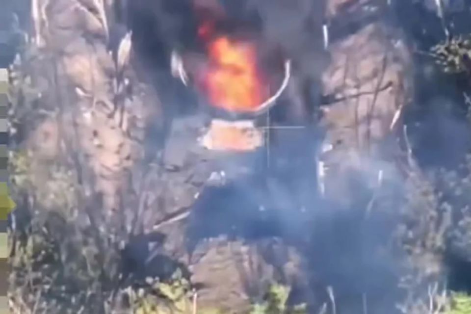 ������ ��� �� ���� 15 �������