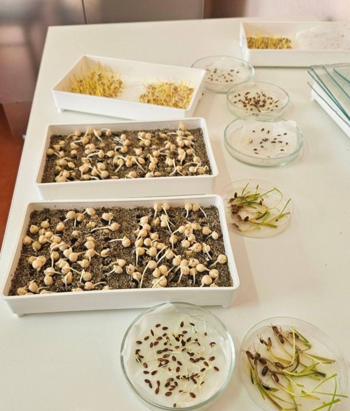 � ���������� ������� ��������� ������������� �������������