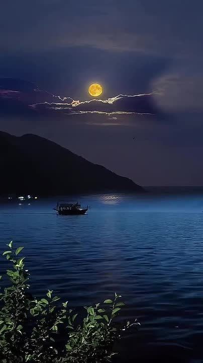 ���� ������ ����, ������!. ���� �������� �� ��������� � ������