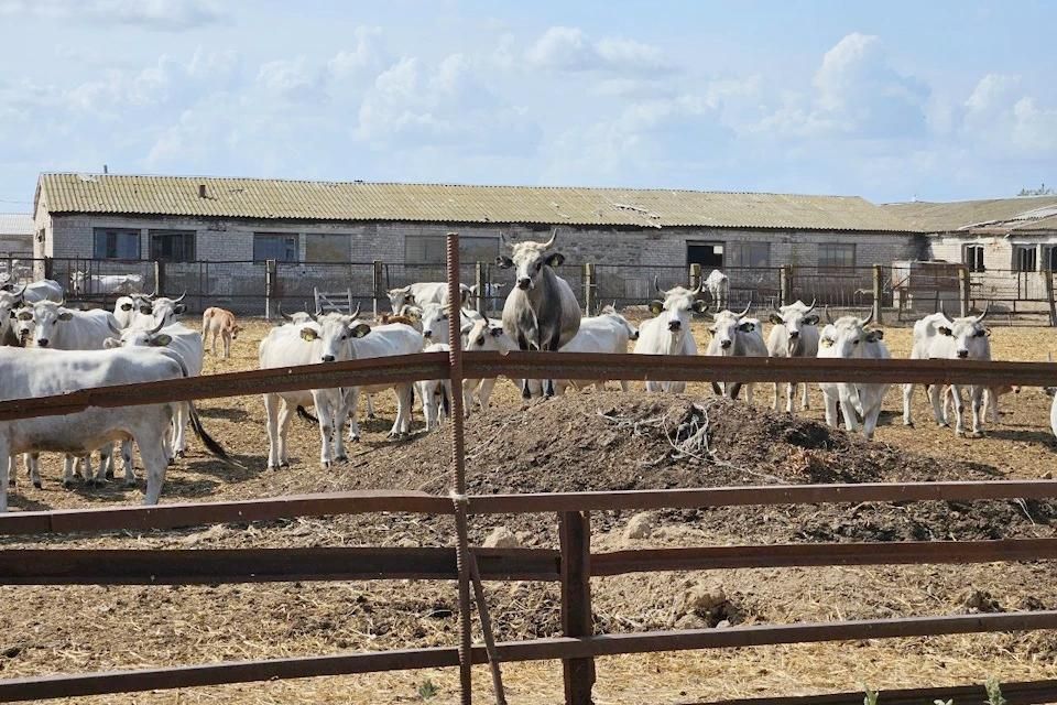 ���������� �������� ������ ������ ����� ���������� ������ ���������� ����������