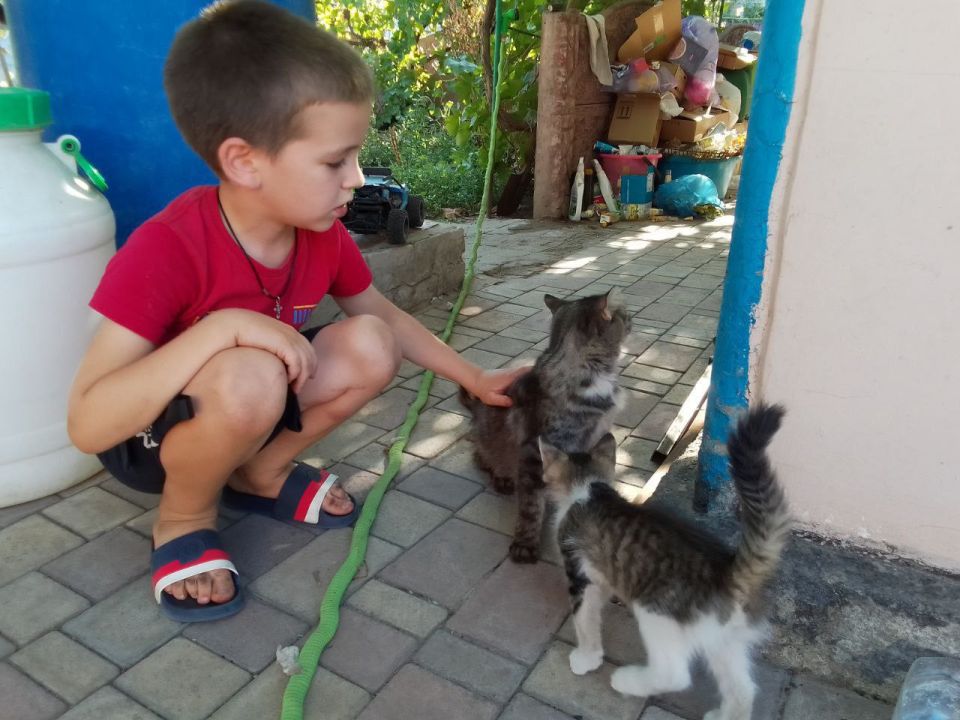 ���������� ��� �������� � �������������� ��� ��������� �������� ������������� � ����� "������� ��������� ��������"