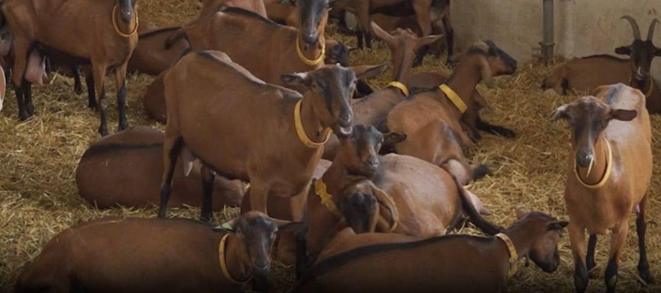 ��������������� ���������� ������� ����������� ��������� �����