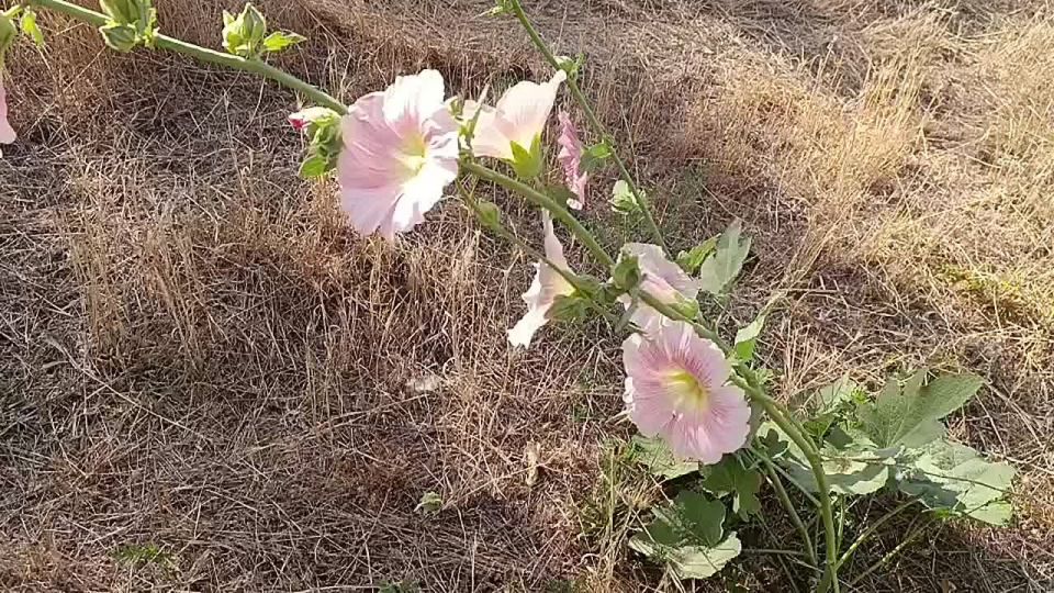 ������ ����, ������ ���������� ������!