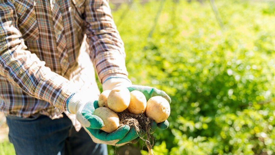 ������ ������� ����� ������� ��� ��������� ��� �������