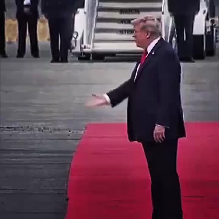 ���� �� �������: ������� � ����������� ����� � Instagram, TikTok � Youtube