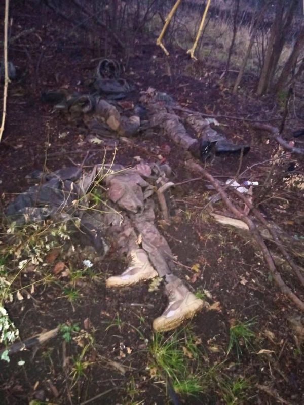 ������������, ������� �������� ����������!