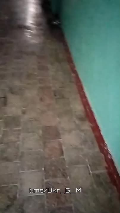 �������� ���������� ���� �� ���� ���������� ���������