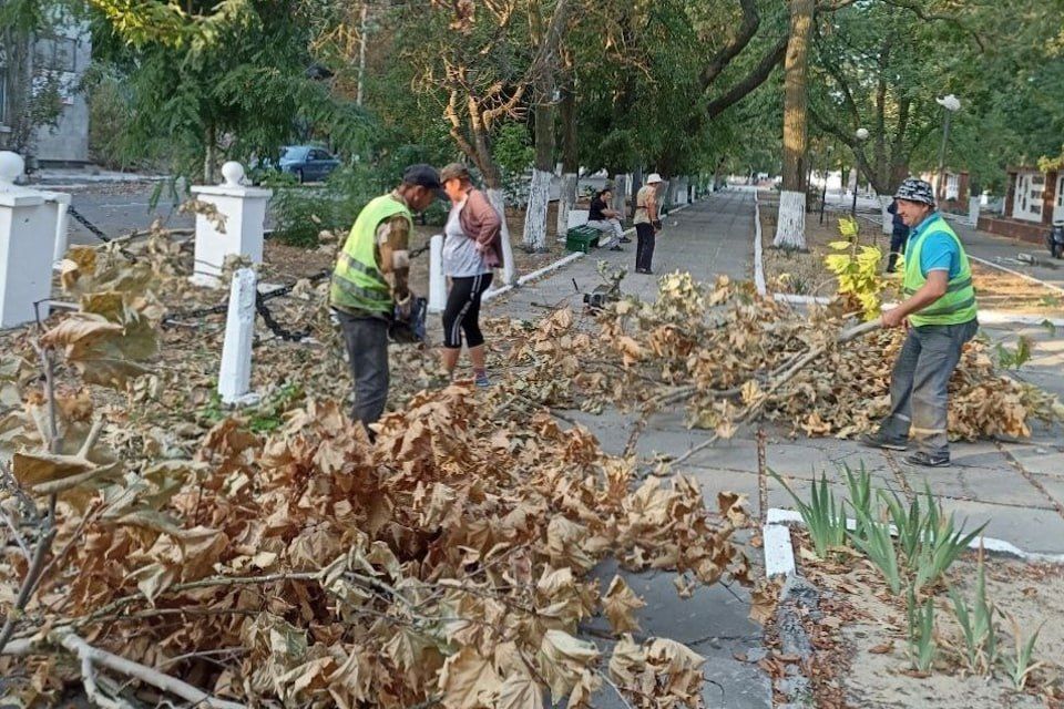 � ����� �������� ������������� ����������� ��������� ���