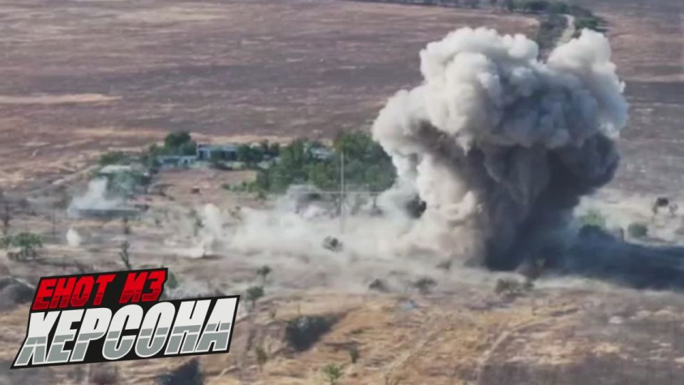 ���� �� �������: �������� ������������: ���� ����, ������ ���