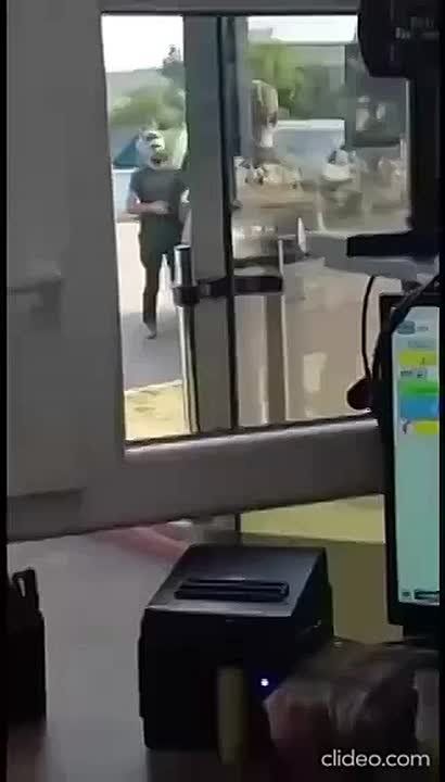 ���� �� �������: ��� ���� �����-�������� ������ ������������� ����� ����������