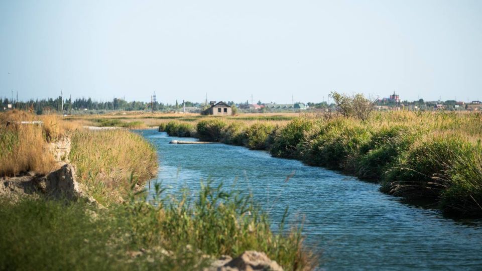 �������� ������: ��� �������� � ����� ���� � ����� ������� � �������