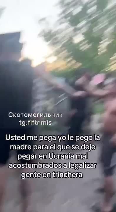 ������������ ������� ����������� � �������� � ����������� �� ������� ������