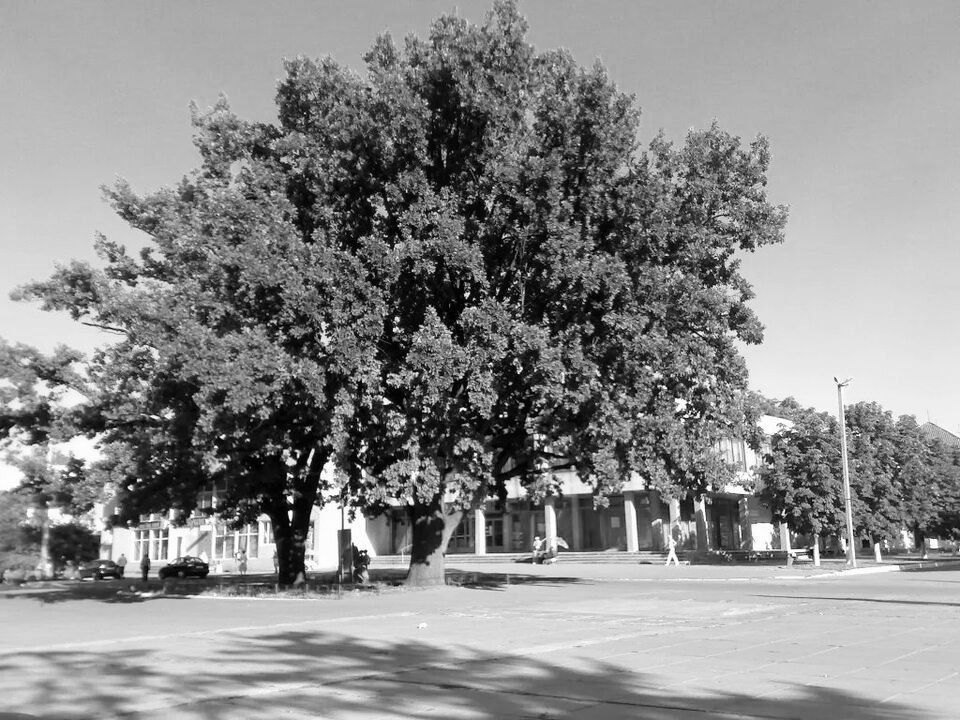 ��������� ����������� ���������� ������� ������� � �������� ������ � �������. ����� �������� � �������� "���� �������: ����� ��������� �������"