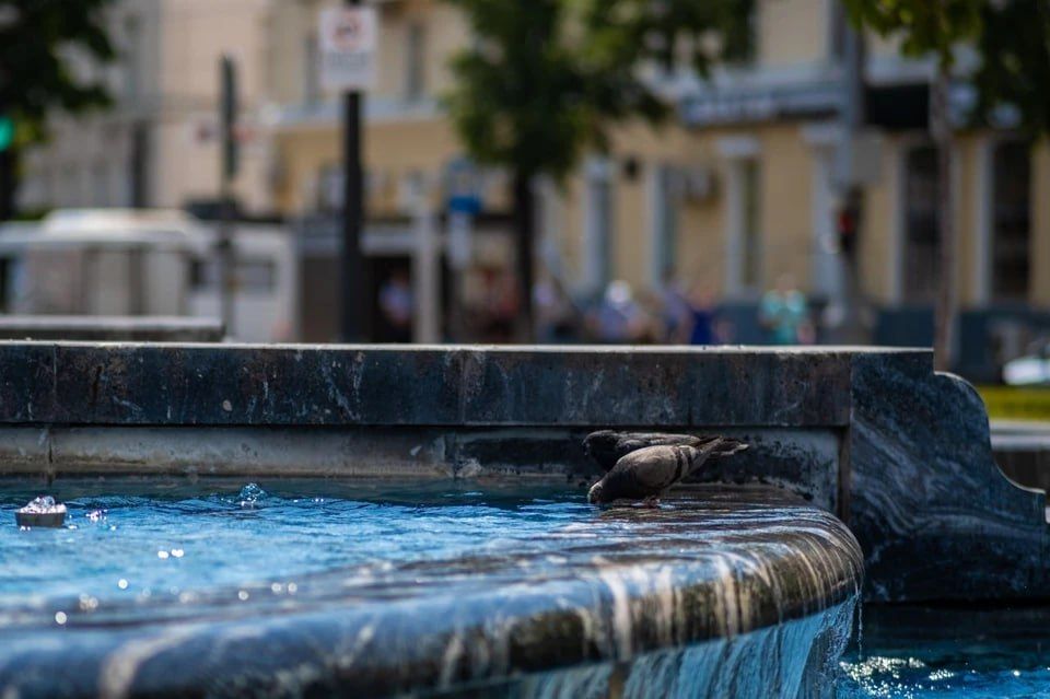 ���� � ���������� ������ ������������ � ���������� �������