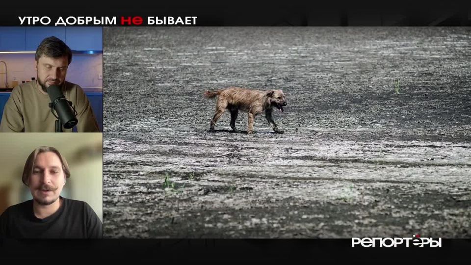 ���������� ������ ���� �������� �������� � �����