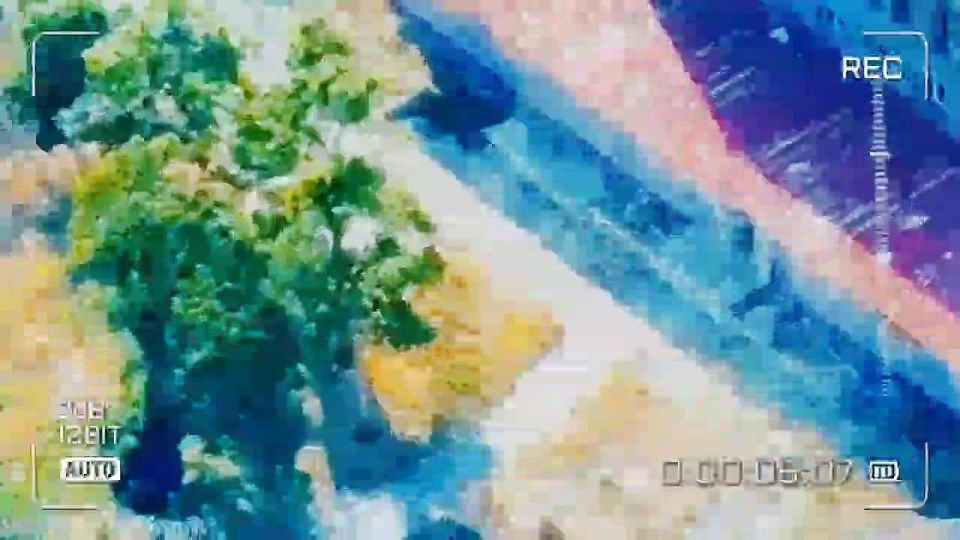 ������. ������� ����