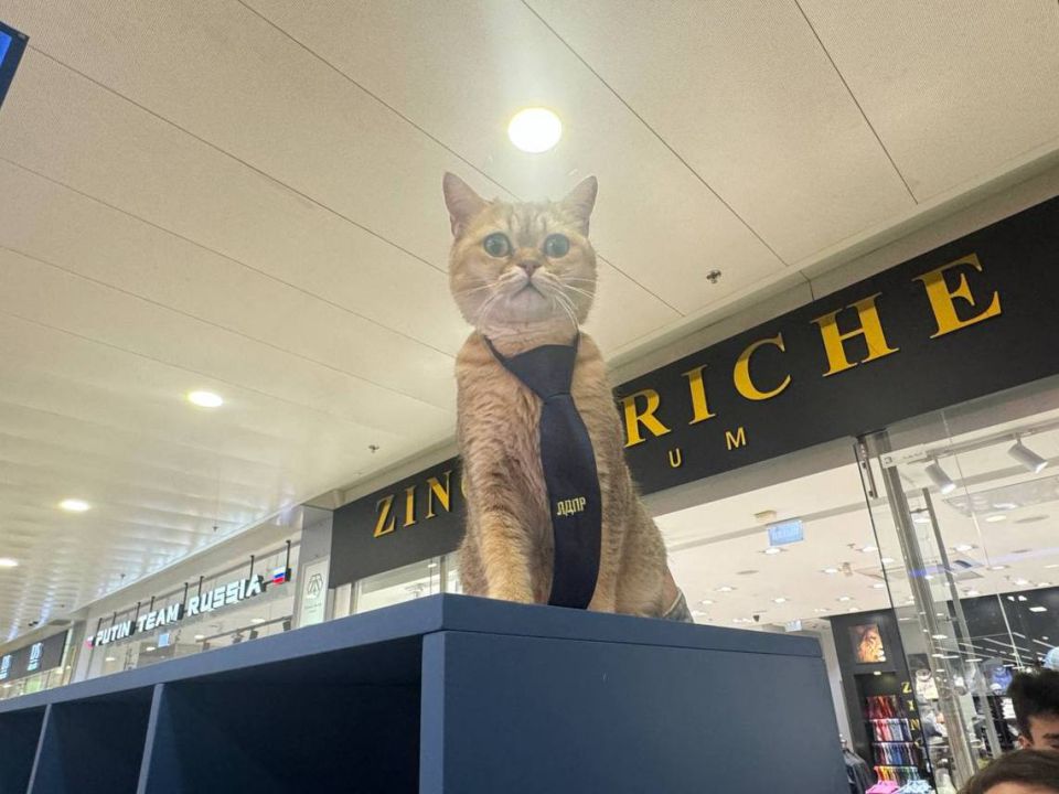 ���� ������� ������� ������� ���� ������ � �������