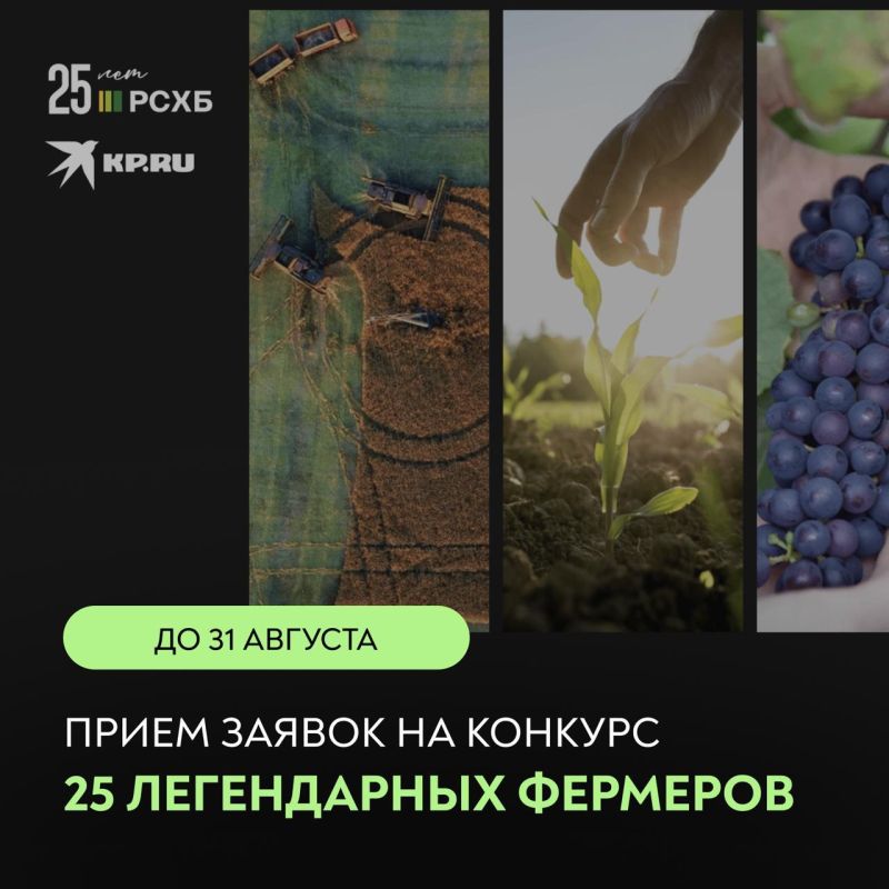 �� 31 ������� ���� ����� ������ �� ������� �25 ����������� ��������!