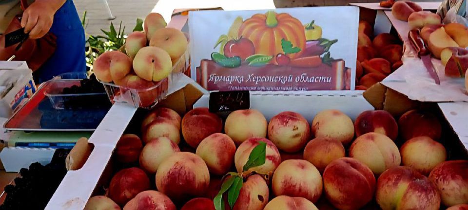 �������� ������: ���� ������� � �����, ��� ����������� ���������� � ������� �������������