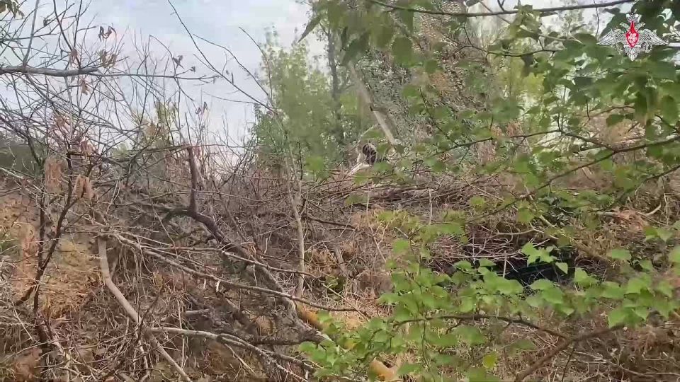 ���������� ������: ������������ �� ������� 49-� ����� �������� ���� ���������������� ���������� �� ������ ������ ������ � ���������� �������