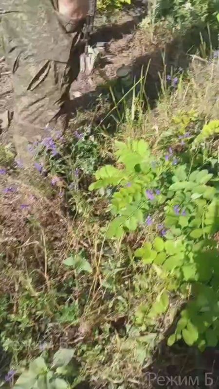 ������� ����������. �������������� ����������� ������ ������������� �� ��. ��������� ������ ����������� ����� "������" ����������� ����� ������� ��������������� � ���������