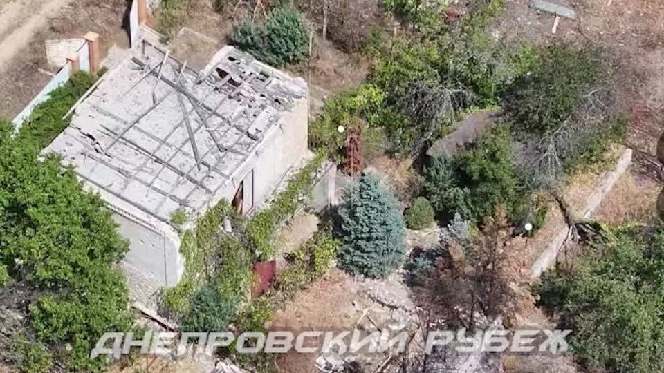 ���������� �����������, �.�. ����������