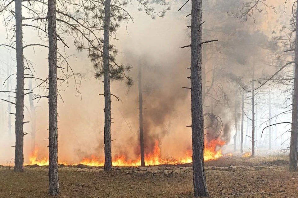 � ���������� ������� ��-�� ������ ��� ������� 19 �������� ����