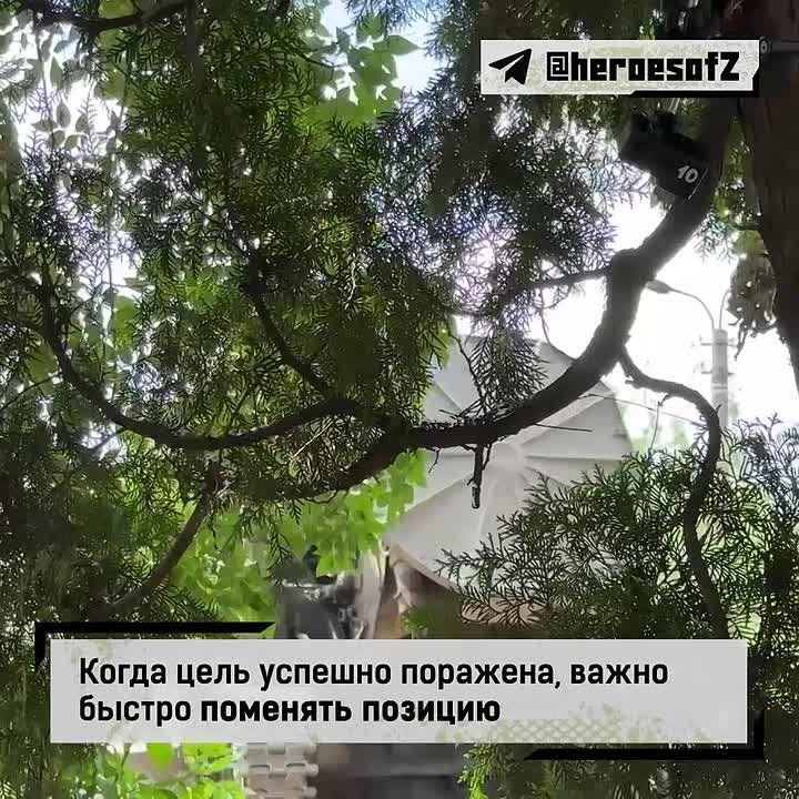 �� ��������������� ����������� �������� ������ ����������� ������� 2�4 ���������