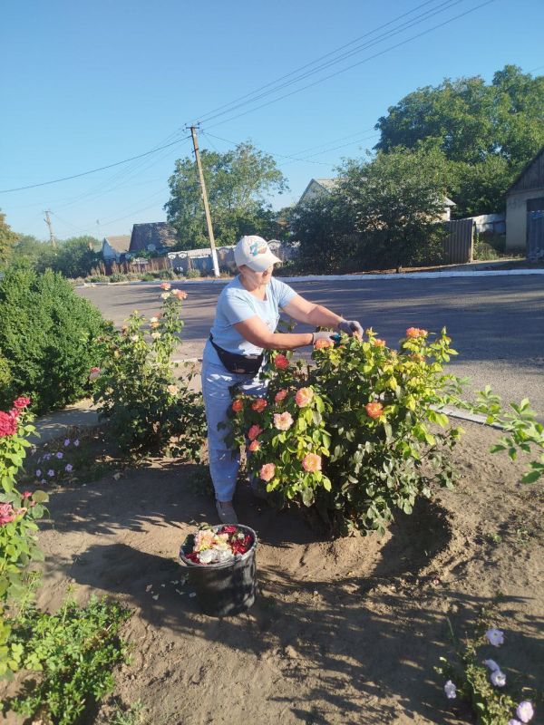 � ���������� ��������������� ������ ��������� ������������ ������ ��������� �������� ��� ���������������� ����