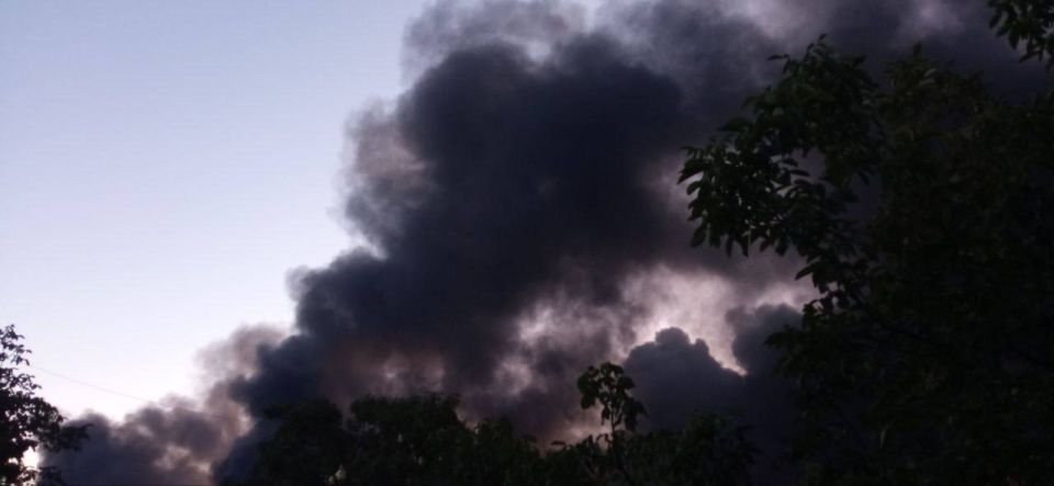 ��� ����� �� ����������. ����������� �������