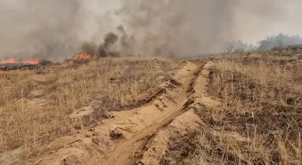 ����� � ����: ��� ������� ���������������� ������� ������� ���������� ���� �� ������� � ���������