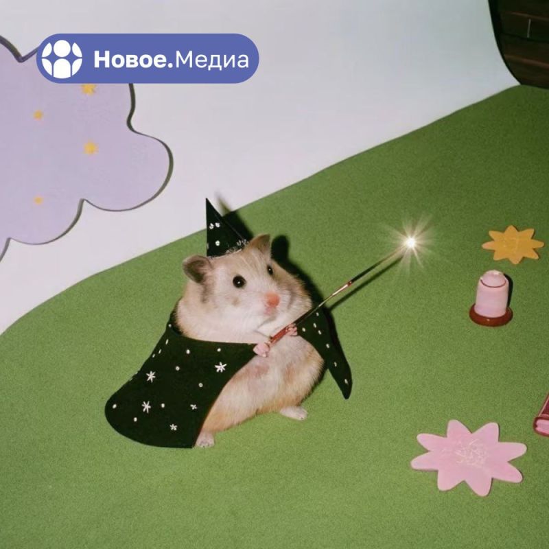 ��� ��� ��������� ���������� � ���������� ������� �� ��������� � �������� �� ��������� ������ � ���������� ��������� ��� ����, ��� ��� �������?