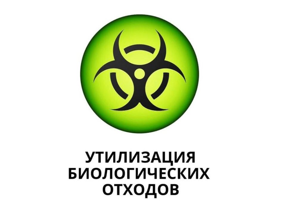 ���������� ������������� �������: ����������� ���������� � ���������������