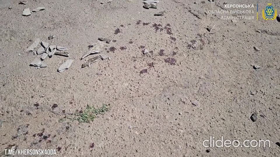 � �� ��� ������.... ������������ ����������: ������� ����� �������� �� ��������� � ������������