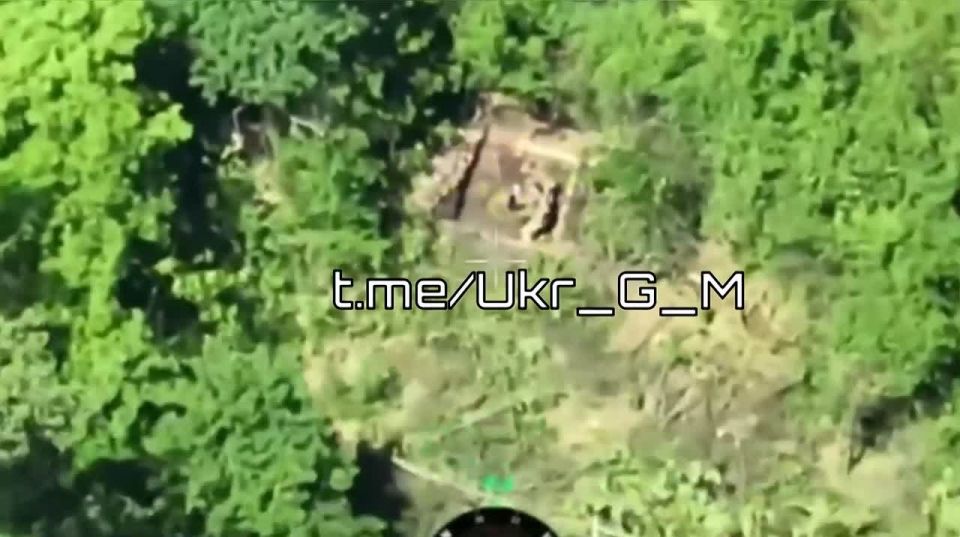 ���������� ���������� ����������