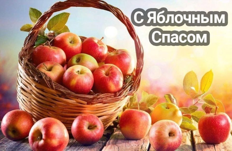 �������� ���� - 19 �������