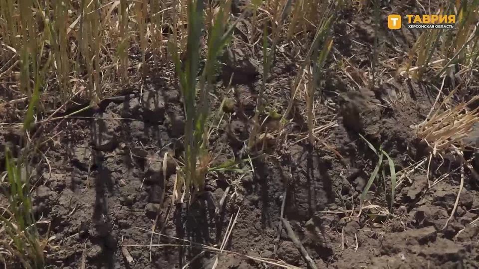 � ���������������� ������ ��������� ��������� ��� ����� ������������������, ��������� ��������� ���������